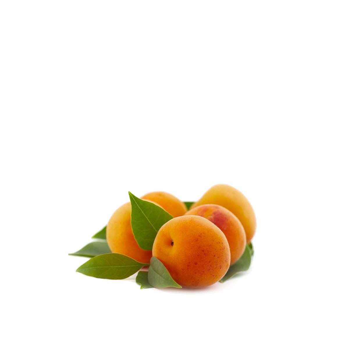 Abricot Intense